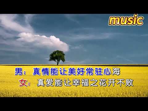 郭康成&胡俊 《你真情我真愛》KTV 伴奏 no vocal 無人聲 music 純音樂 karaoke 卡拉OK 伴唱郭康成&胡俊 《你真情我真愛》