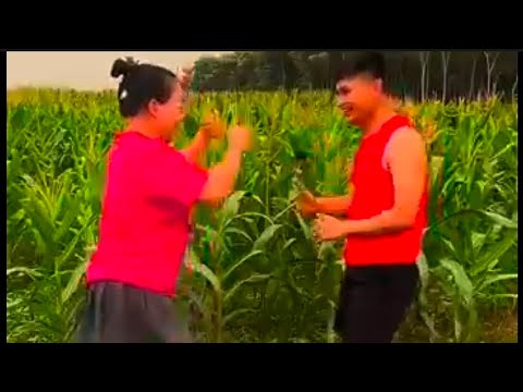 kumpulan vidio lucu bikin ngakak..!!