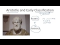 Taxonomy and Classification in Biology