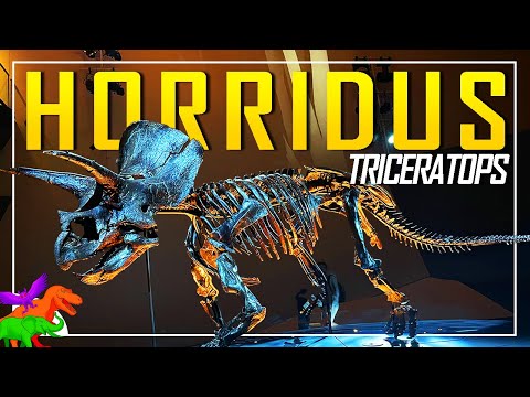 Horridus the Triceratops – The Most Complete Triceratops Ever Found