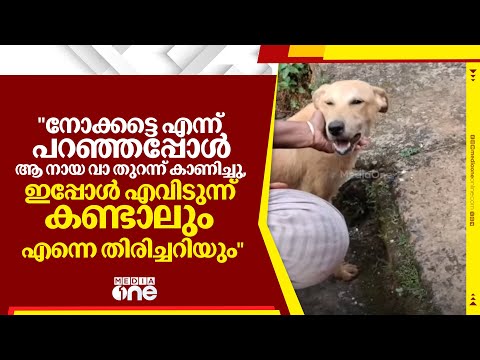 "നോക്കട്ടെ എന്ന് പറഞ്ഞപ്പോൾ ആ നായ വാ തുറന്ന് കാണിച്ചു, ഇപ്പോൾ എവിടുന്ന് കണ്ടാലും എന്നെ തിരിച്ചറിയും"
