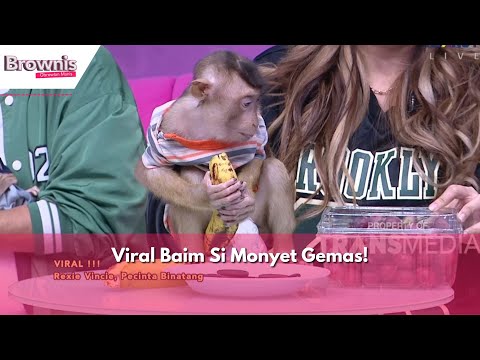 Viral Baim Si Monyet Gemas! | BROWNIS (01/03/24) P2