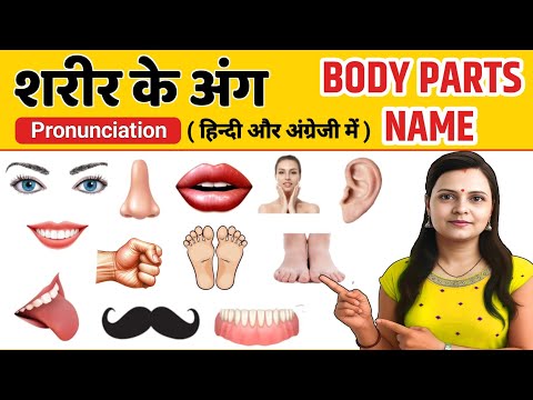 Human Body Parts Name Hindi & English with Pictures | शरीर के अंग | Name of Body Parts