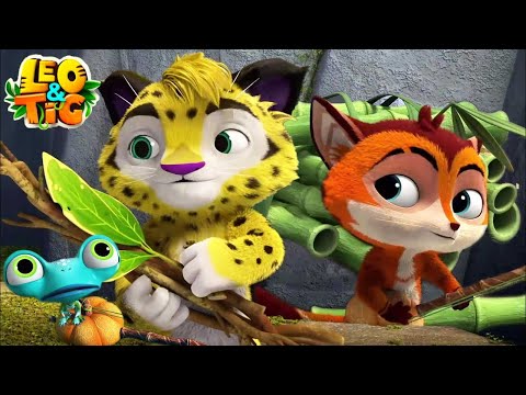 Leo and Tig: Summer Adventure Highlights 🦁 🐯  Moolt Kids Toons Happy Bear