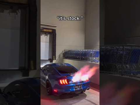 ูุง ูุงฺฏูุจ ุดูุช ุงูุจุฎุช unbelievable what a crazy ููููููููู ู
ุถุญู ุฌุฏุง #comedy #mems #ููู
ูุฏู #ู
ุถุญู #ููููู