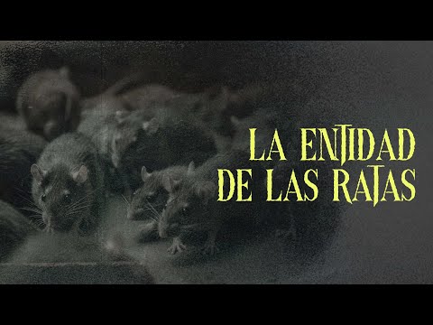 LA ENTIDAD DE LAS RATAS (Relatos De Terror)