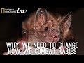 Understanding Bats and Rabies