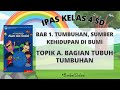 Kuis Bagian Tubuh Tumbuhan