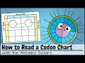 Understanding Codon Charts and Functions