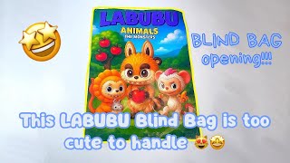 LABUBU  CUTE CUTE CUTE BLIND BAG 🤩🤩🤩🩷🫶🏻✨