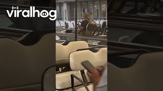 Buffalo Airport Cart Driven Through Moving Sidewalks || ViralHog