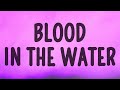 Understanding the Themes in the Video Tutorial