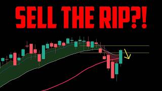 STOCK MARKET UPDATE FOR 4/8/26