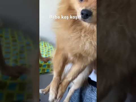 Doğru söyleyin kim yaptı  !! #shortvideo #sorts #keşfet