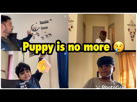 Puppy mar gaya 😢| tv lounge me new decoration  | 1st ramzan sahrii .. babar akbar vlog