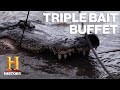 Alligator Hunting Adventures