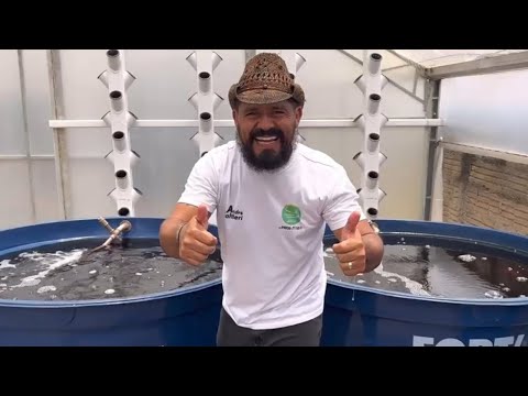 Curso de piscicultura fácil  com projeto em 3D ensinando montar o projeto de Criação de Peixes