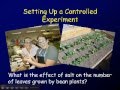 Experimental Design and Variables