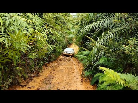 Toyota Hilux and Mitsubishi Triton On Muddy and Climbing Routes - 4x4 Pickup Truck On Mud Road