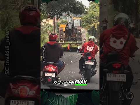 Buah Mangga Berhamburan di Jalan aya #shorts #buah #mangga