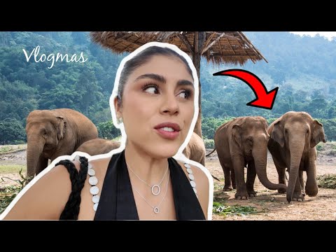 VISITANDO LOS ELEFANTES EN TAILANDIA ( VLOGMAS 8)