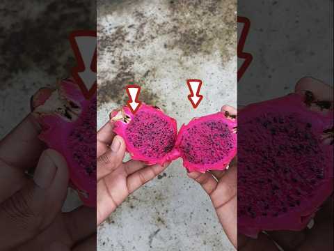 Dragon fruit vs black tape part 2 #shorts #shortvideo