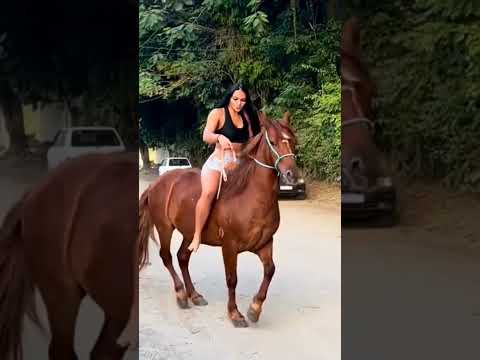 #pecuarista #playvaquejada #cavalo #cavalos #cavalgada #marchadores #horse #vaquejada #vaqueiro#agro