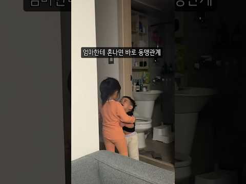 주구장창 투닥거리다가 혼나면 갑자기 샘솟는 우애🤭 #남매#세살차이#육아일상#여섯살#20개월#쇼츠