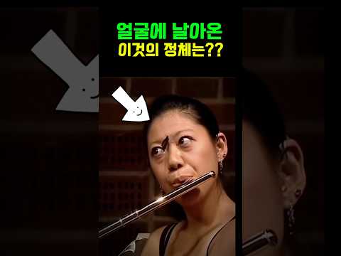 공연 중 얼굴에 날아온 이것의 정체는??? #공연사고 #클래식 #일미터클래식 #웃긴영상 #유머 #1mclassic #플룻