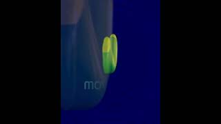 Samsung SGH-X576 (Movistar AR) Startup/Shutdown
