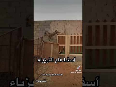 اسقاط علم الفيزياء