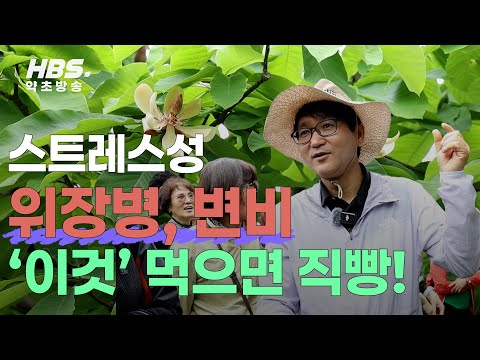 스트레스성 위장병, 변비 '이것' 먹으면 직빵