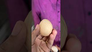 കൊച്ചിയിൽ ചൈനീസ് മുട്ട 😮