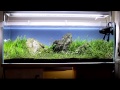 Co2 v akvariu Co2 v akvariu