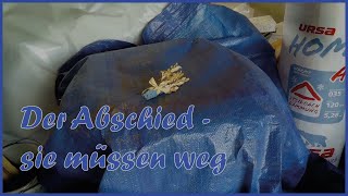 Abschied - sie müssen weg. Es hilft nichts mehr.