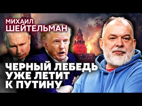 ШЕЙТЕЛЬМАН. Путин придумал ЛОВУШКУ ДЛЯ ТРАМПА с миром. Это обернется кошмаром для РФ. Кремль ЗАДУШАТ