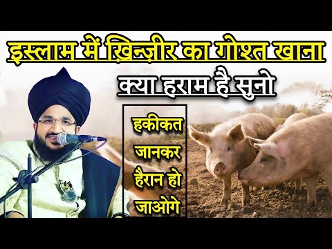 Islam Me Khinjir Ka Gost Khana Kyu Haram Hai Suno | Mufti Salman Azhari | New Bayan