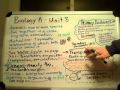Ecosystem Dynamics and Water Cycle