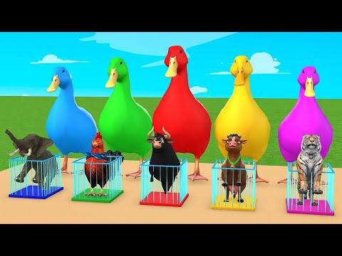 5 Giant Duck Cartoon,Elephant, Dinosaur, Cow, Tiger,  Paint Wild Animals Crossing Fountain Animation