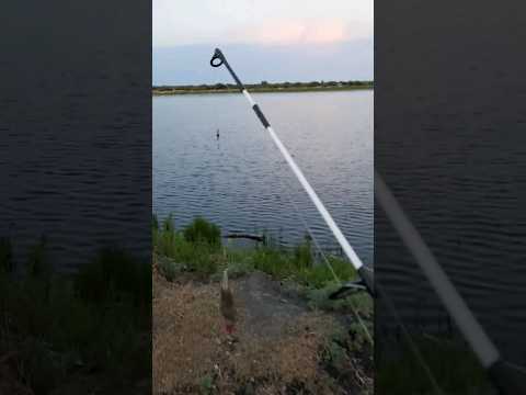 Когда живешь на берегу реки