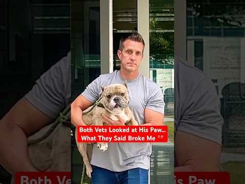 Both Vets Looked at His Paw...What They Said Broke Me 💔