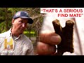 Oak Island Mystery Artifacts