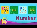 Basic Knowledge Questions