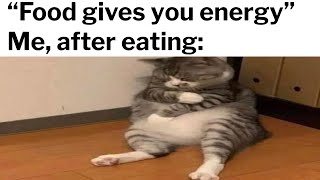 Gym Memes