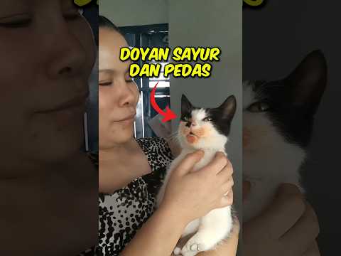 Kucing Ini Suka Makan Sayur dan Pedas #kisahmenarik