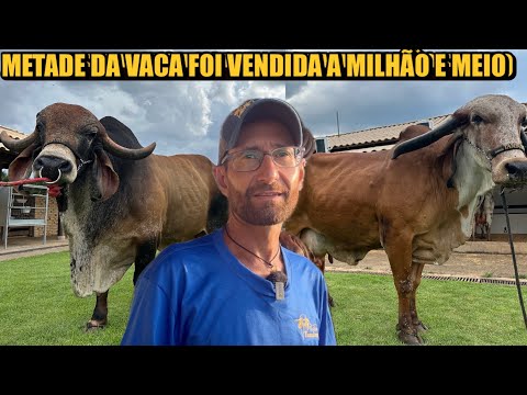 ROTINA NA FAZENDA COM ANIMAIS DE MILHÕES - TAMBURIL