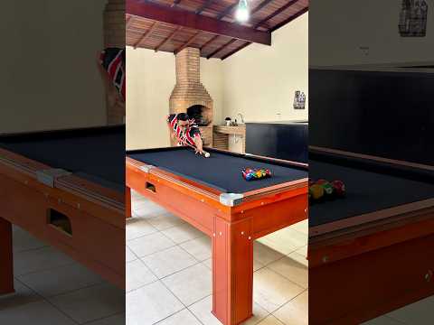 Baianinho de Mauá ficou no chinelo 🤣 #humor #comedia #shortsfeed