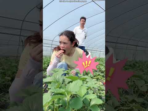 Girl like that shouldn't go to the garden 😲