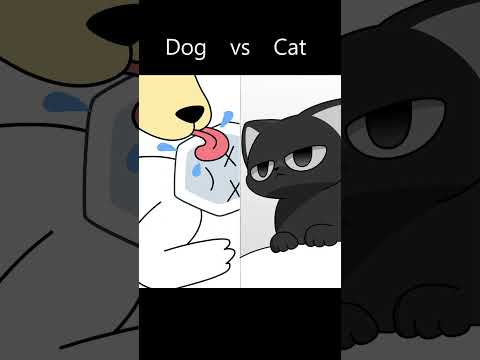When you collapse,your pet: