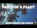 Understanding Plant Parts